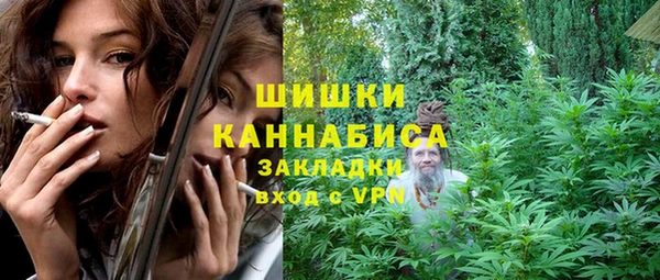2c-b Алзамай